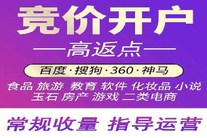 某品牌SEM广告投放的ROI提升案例